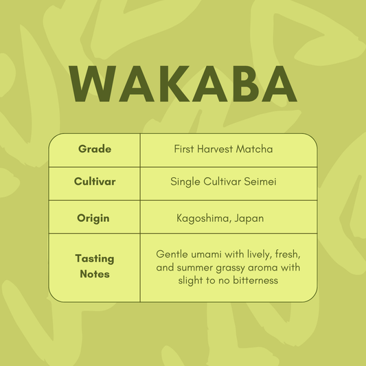 Wakaba (30g)