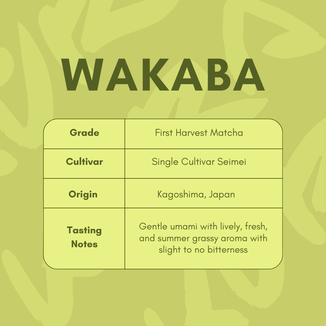 Wakaba (30g)